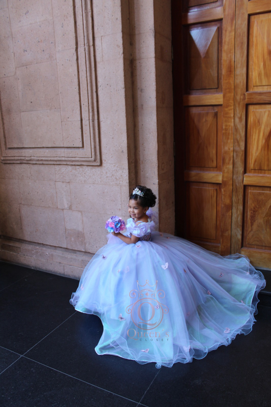 Cinderella Butterflies Package (Dress, Petticoat, Bouquet, Crown)