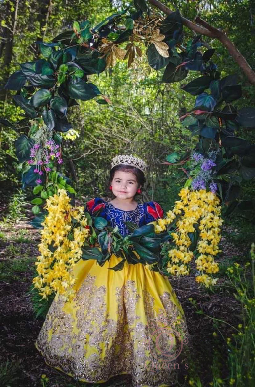 Snow White Deluxe Gown