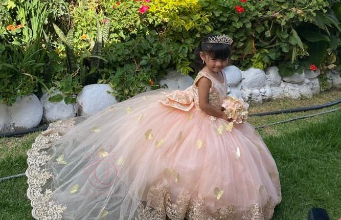 Dalya with Butterflies Package (Dress, Petticoat, Bouquet, Crown)