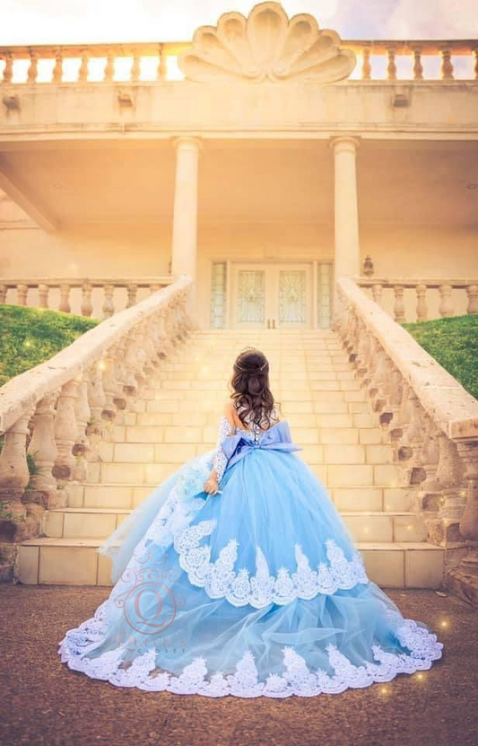 Cinderella Removable Train Package (Dress, Petticoat, Bouquet, Crown)