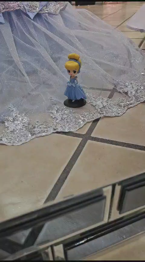 Cinderella Removable 2 Pieces